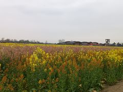 -中国天府农业博览园