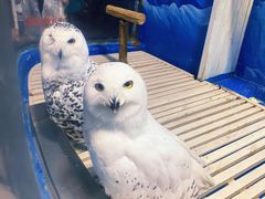 -成都浩海立方海洋公园