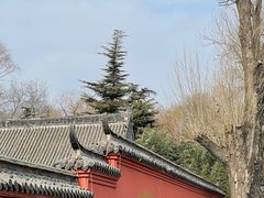 -百脉泉景区