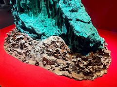 -广东省博物馆