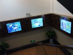 -珍品轩鲜菌火锅(眉山店)
