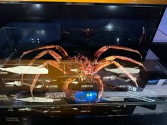 -同济大学四平路校区深海探索馆