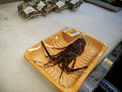 -盒马鲜生(红莲店)