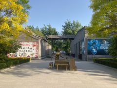 -杨柳青庄园