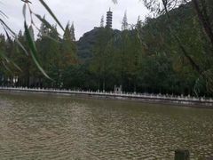 -黄贤森林公园