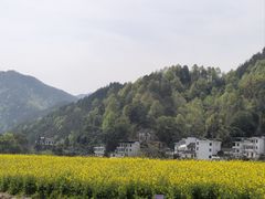 -新安江山水画廊风景区