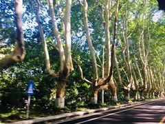 -品腐记·豆腐王朝(老门东总店)