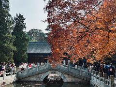-香山公园