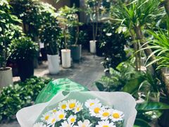 -双季花艺园艺市场(浦东店)