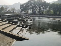 -老虎土菜馆·农家土菜