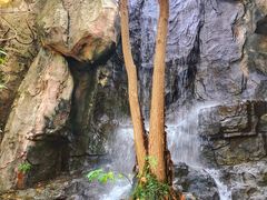 景点-天目湖山水园