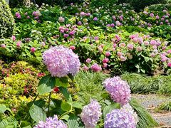 -常州古运河南大街文化旅游区-人民公园