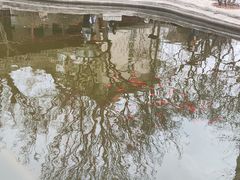 -碑林公园