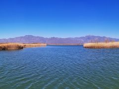 -野鸭湖国家湿地公园