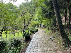 -上海佘山国家森林公园天马山园