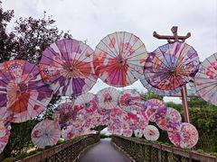 -赵州桥景区