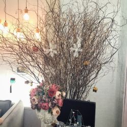 -新蝶变皮肤管理中心