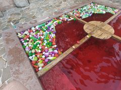 -天目湖涵田半山温泉