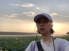 -丁香湖公园