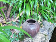 -谷咖啡·鲜花绿植花园餐厅