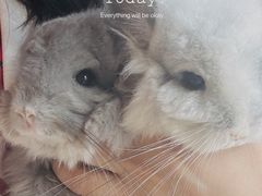 -龙猫仔乐园(惠福东路店)