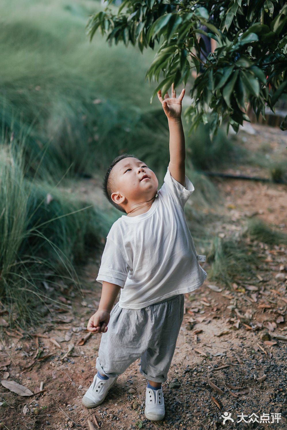 【深圳】初秋出游，千万不要错过红花山的超美粉黛