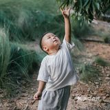 【深圳】初秋出游，千万不要错过红花山的超美粉黛