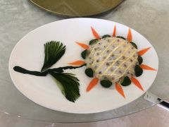 -丁老爷子苏香圆