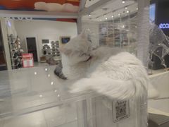 -丽达购物中心(崂山店)