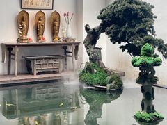 -觀芷隐轩