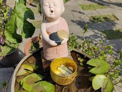 -西双版纳傣族园
