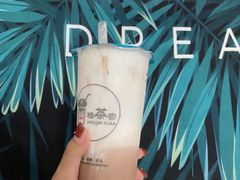 -乐磊奶茶店