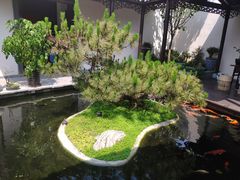 -三溪村
