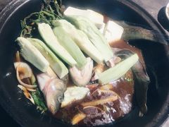 -肥鱼屯活鱼锅(惠工街店)
