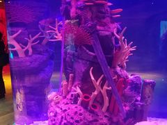 -沈阳海洋探索中心