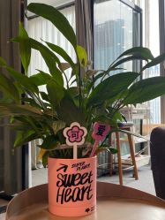 -植蔻妍倍儿专业脱毛·皮肤管理