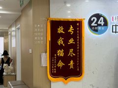 -中农大我爱我爱24h动物医院·中医针灸·猫专科·骨科医疗中心(双井店)