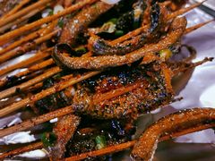 鳝鱼-晓靖轩烧烤(沙河风情店)