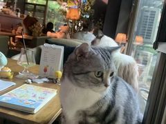 -咖法森林·咖啡  酒吧(天河店)