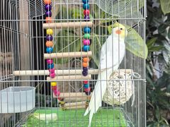 -溪岸路花鸟市场