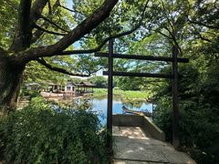 -兰亭风景区
