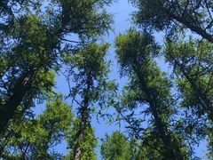 -白草畔自然风景区