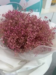 -斐尔国际皮肤管理中心