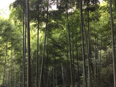 -山沟沟景区