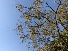 -贵阳市花溪国家城市湿地公园