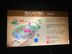 -夜间野生动物园