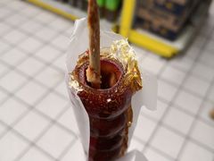 -和禄德冰糖葫芦