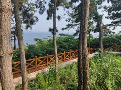 -养马岛旅游度假区