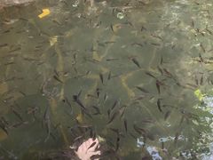 -龙达温泉生态城
