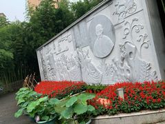 -陈家山荷花公园